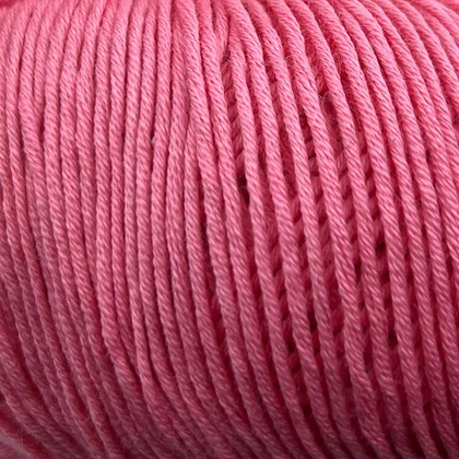 Onion Organic Cotton